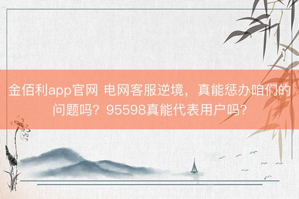 金佰利app官网 电网客服逆境,真能惩办咱们的问题吗?95598真能代表用户吗?